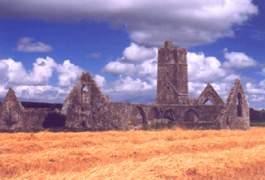 photo of Kilcrea Abbey